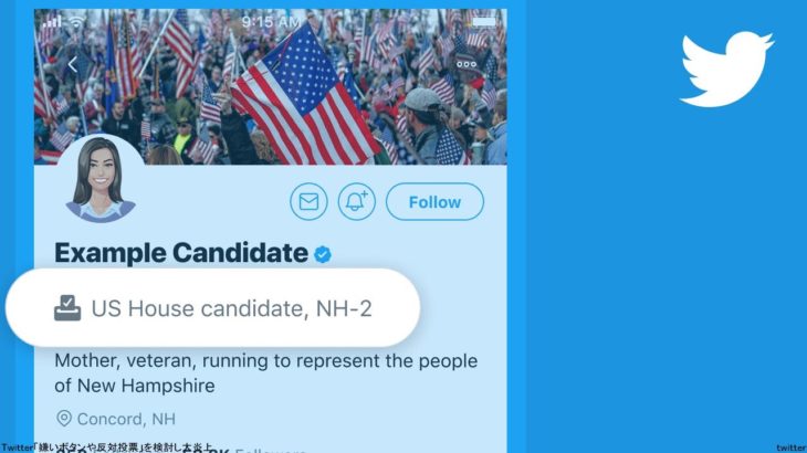 Twitter「嫌いボタンや反対投票」を検討し大炎上