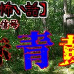 【2ch怖い話】part257 山道の信号【ゆっくり怪談,意味が分かると怖い話,怪談,朗読】 These are ghosts in the story.