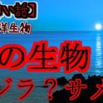 【2ch怖い話】part 謎の海洋生物【ゆっくり怪談,意味が分かると怖い話,怪談,朗読】 These are ghosts in the story.