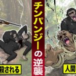 【実話】殺戮チンパンジー恐怖の復讐。母親を殺された…恨みを晴らす。