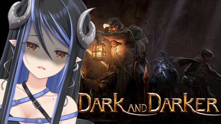 【Dark and Darker】最近話題の難しいゲームらしい…【蛇宵ティア / シュガリリ】