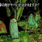画像の意味が分かる人にはこの心霊スポットが日本で1番ヤバい理由も分かる。Japanese horror