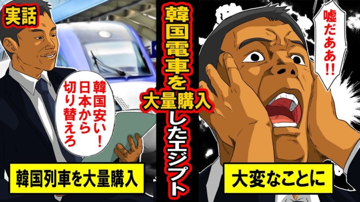 【実話】日本を断り、韓国製列車を大量購入したエジプトの末路