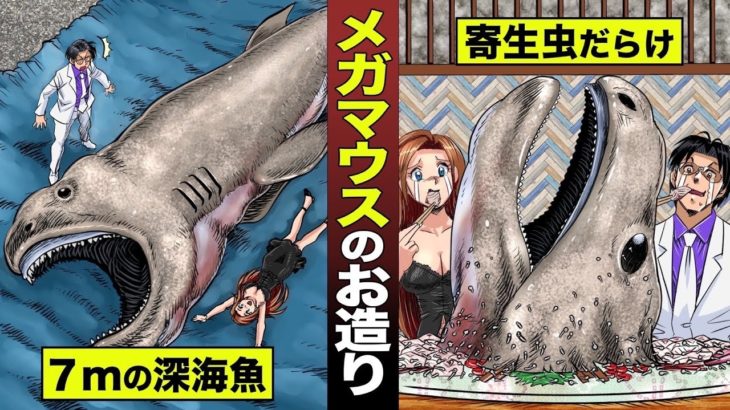 【漫画】世界最大のサメ…メガマウスの刺身。寄生虫だらけ