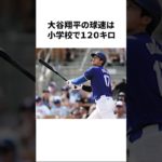 大谷翔平選手の漫画のような衝撃の実話#大谷翔平#メジャー#野球#youtubeshorts #チャンネル登録お願いします