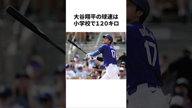 大谷翔平選手の漫画のような衝撃の実話#大谷翔平#メジャー#野球#youtubeshorts #チャンネル登録お願いします