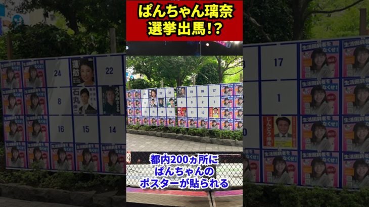ぱんちゃん璃奈が東京都知事選挙で炎上、、、。これはヤバい　 #格闘技 #格闘家 #ブレイキングダウン #RIZIN